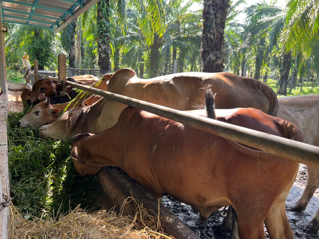 photo 2026 01 04 17 36 42 2