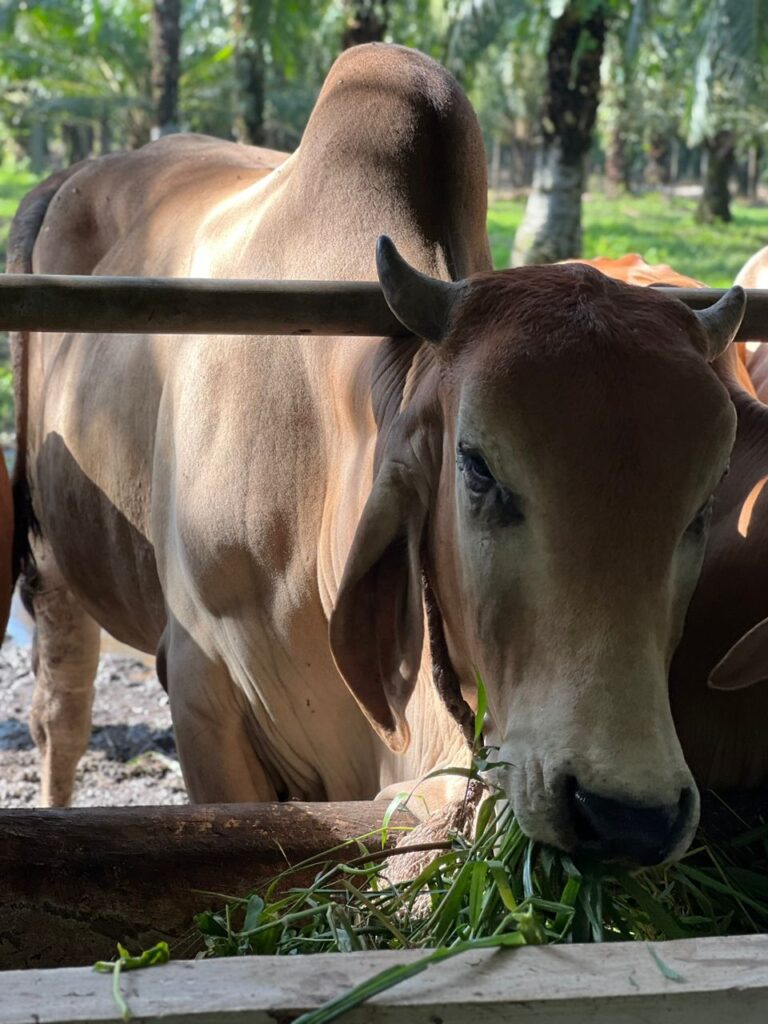 photo 2026 01 04 17 36 42 3